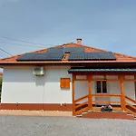 Tulipán