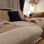 Tulipan Vendeghaz *