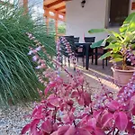 Апартаменты Tulipan Vendeghaz Шарошпатак
