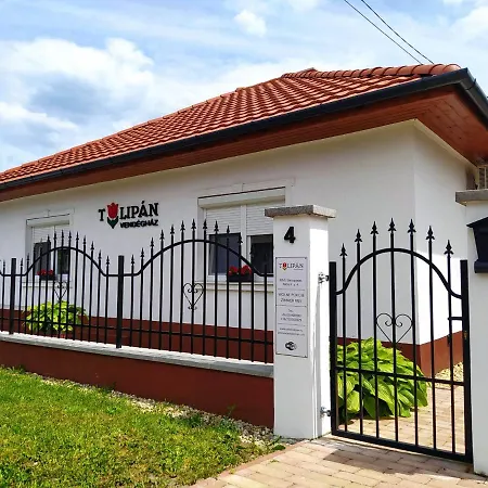 Tulipan Vendeghaz Apartmán *