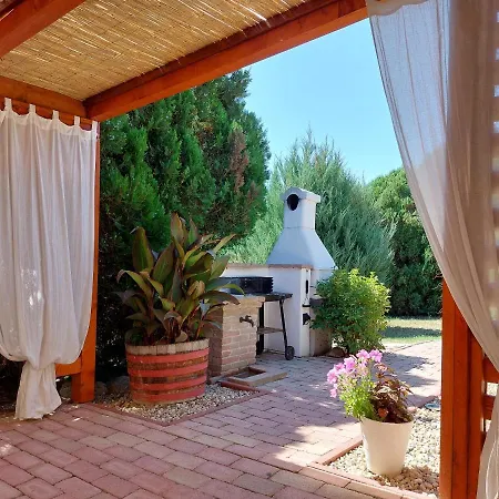 Apartment Tulipan Vendeghaz *