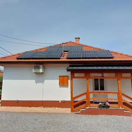 Tulipán