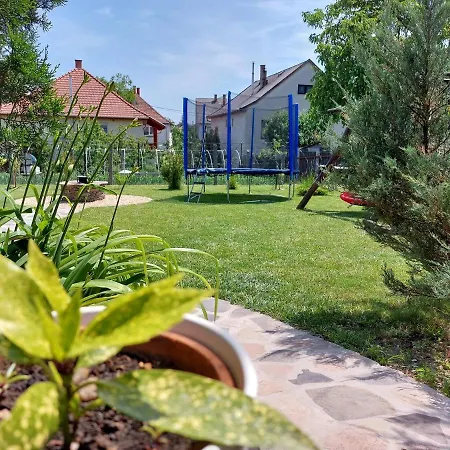 Tulipan Vendeghaz Sárospatak