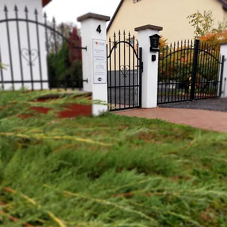 Tulipan Vendeghaz * Sarospatak
