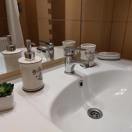 Apartment Tulipan Vendeghaz Sarospatak
