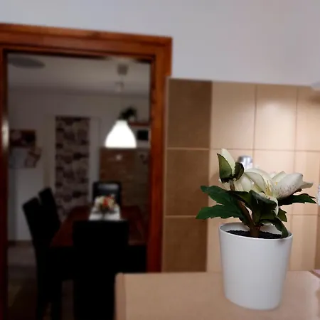 Apartament Tulipan Vendeghaz *