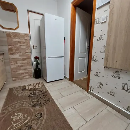 Tulipan Vendeghaz * Sárospatak