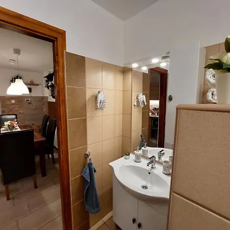 Tulipan Vendeghaz Apartment Sarospatak