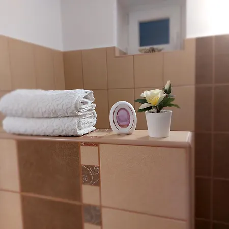 Apartament Tulipan Vendeghaz *
