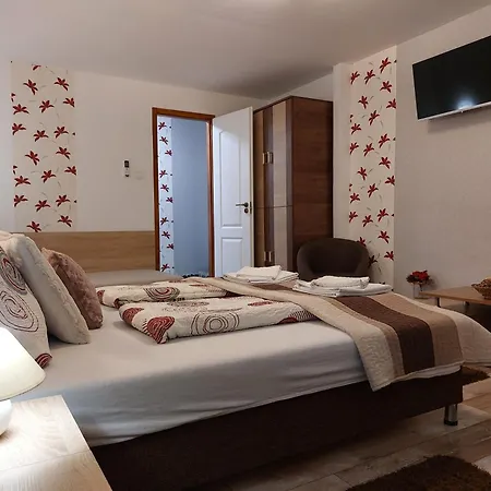 Apartment Tulipan Vendeghaz Sarospatak