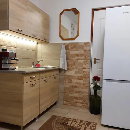 Apartment Tulipan Vendeghaz Sarospatak