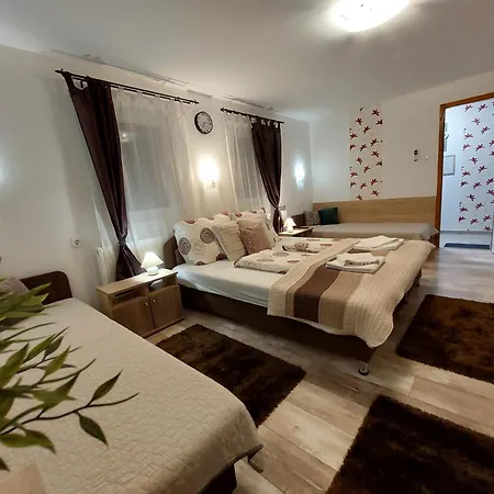 Apartament Tulipan Vendeghaz