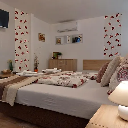 Apartment Tulipan Vendeghaz