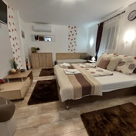Tulipan Vendeghaz Apartment Sarospatak