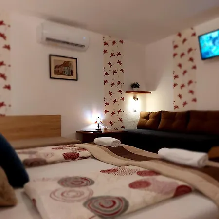Apartment Tulipan Vendeghaz
