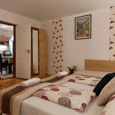 Tulipan Vendeghaz * Sárospatak