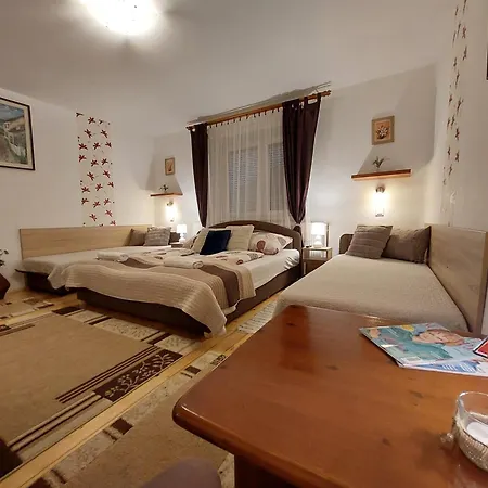 Tulipan Vendeghaz Sárospatak