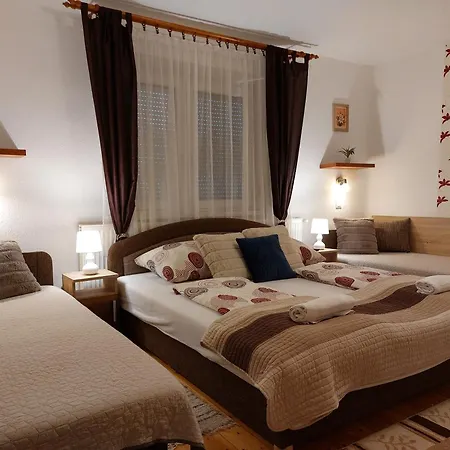 Apartment Tulipan Vendeghaz Sarospatak