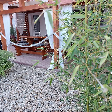 Apartment Tulipan Vendeghaz *