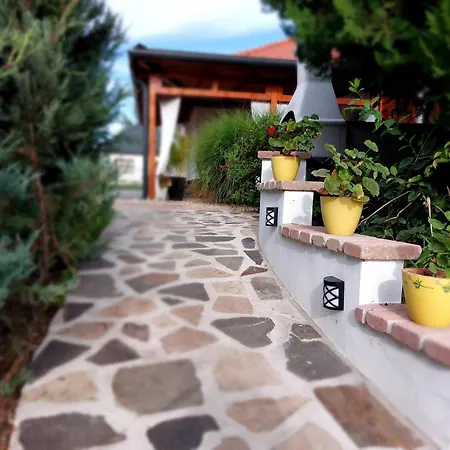 Tulipan Vendeghaz * Sarospatak