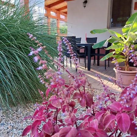 Apartment Tulipan Vendeghaz Sarospatak