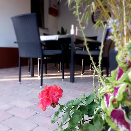 Apartament Tulipan Vendeghaz *