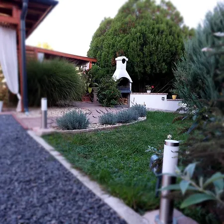 Tulipan Vendeghaz * Sarospatak
