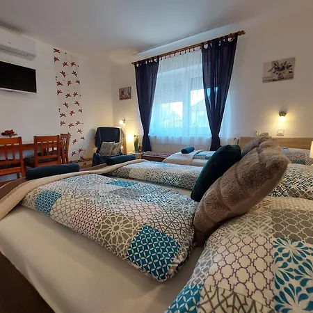 Tulipan Vendeghaz Apartament Sárospatak