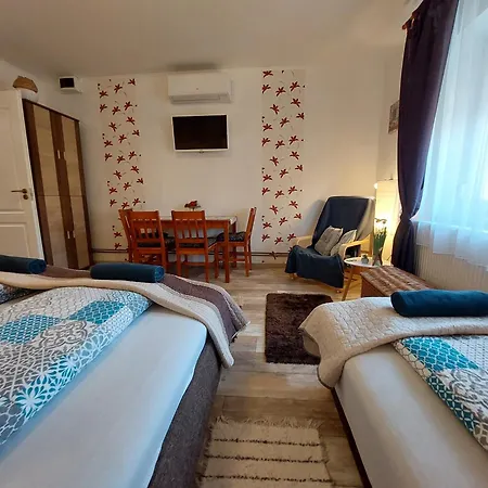 Tulipan Vendeghaz Sárospatak