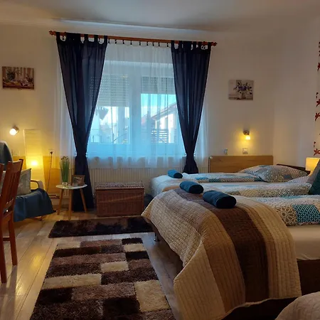 Tulipan Vendeghaz Apartament