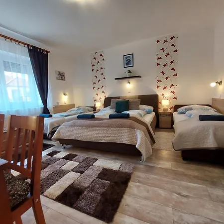 Apartment Tulipan Vendeghaz *
