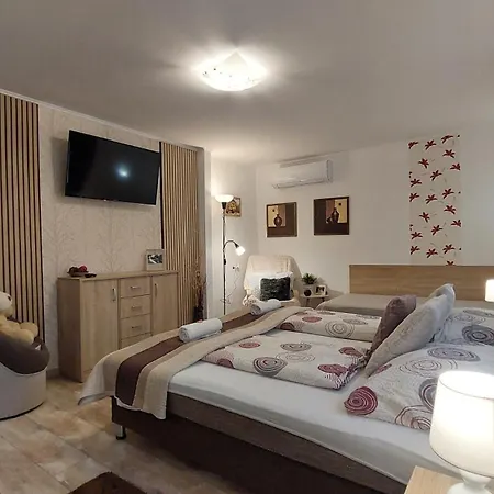 Apartament Tulipan Vendeghaz Sárospatak