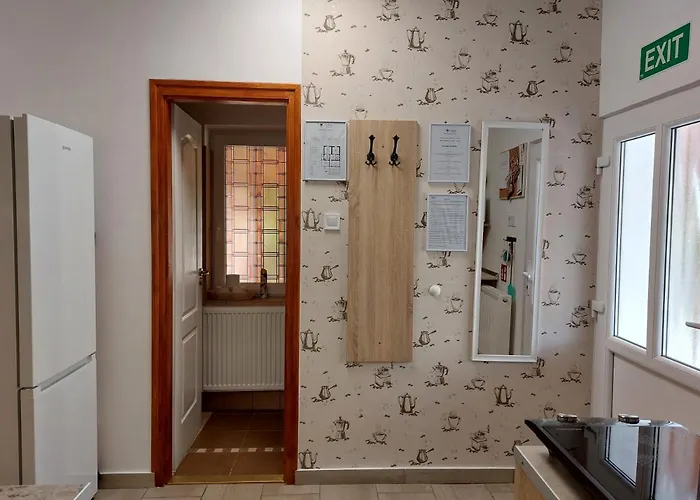 Tulipan Vendeghaz Sárospatak