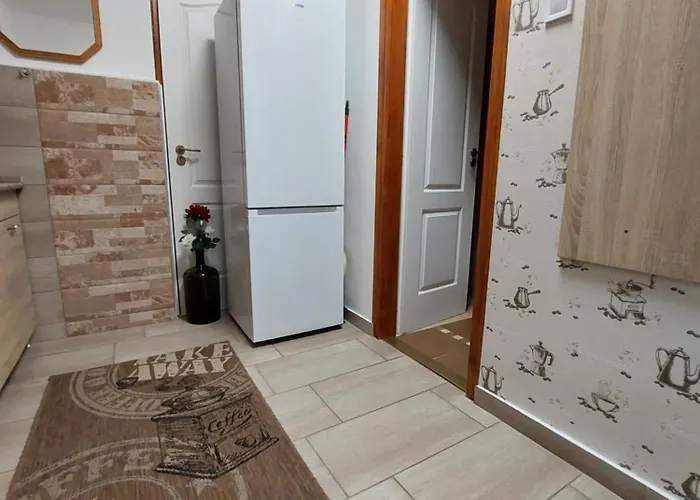 Tulipan Vendeghaz * Sárospatak