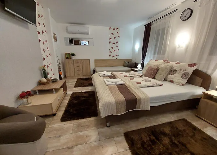 Tulipan Vendeghaz Lägenhet Sárospatak