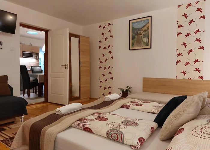 Tulipan Vendeghaz * Sárospatak