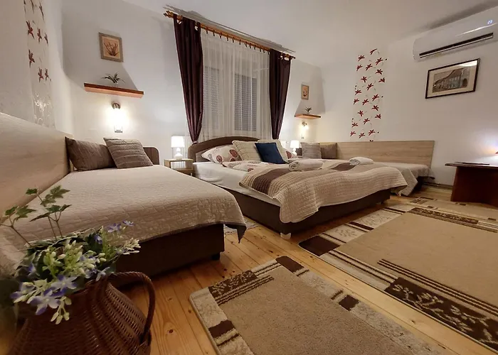 Tulipan Vendeghaz * Sárospatak